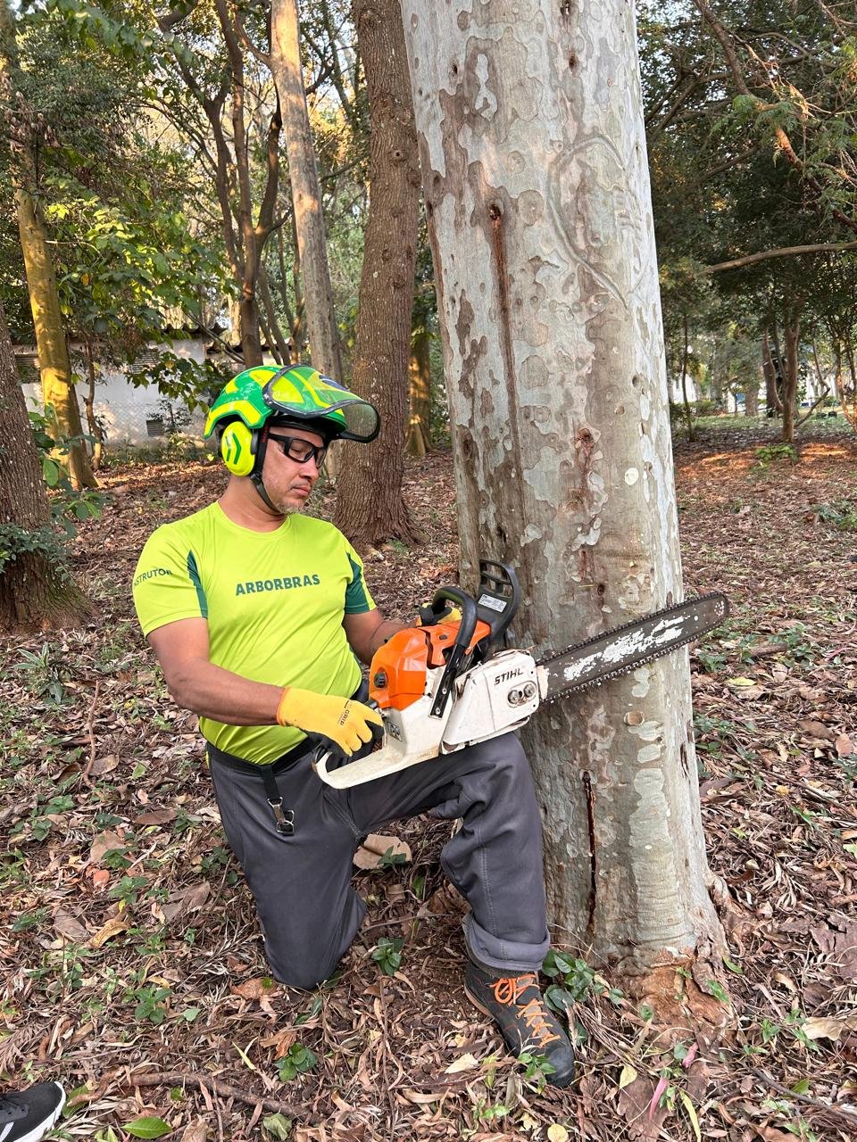 WhatsApp Image 2025-02-11 at 19.03.13 (1)