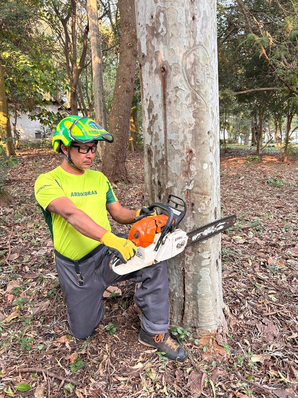 WhatsApp Image 2025-02-11 at 19.03.13