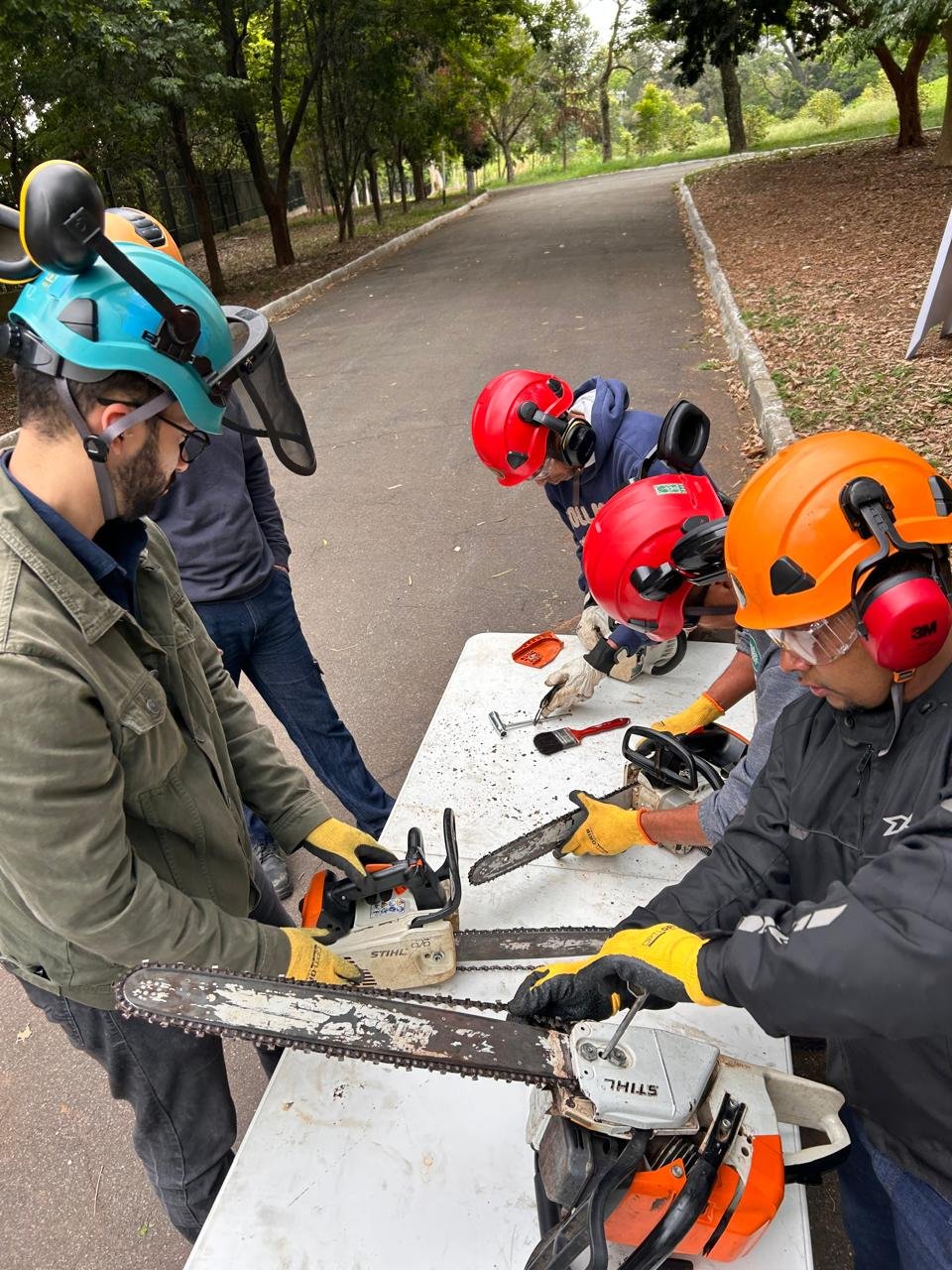 WhatsApp Image 2025-02-11 at 19.03.16