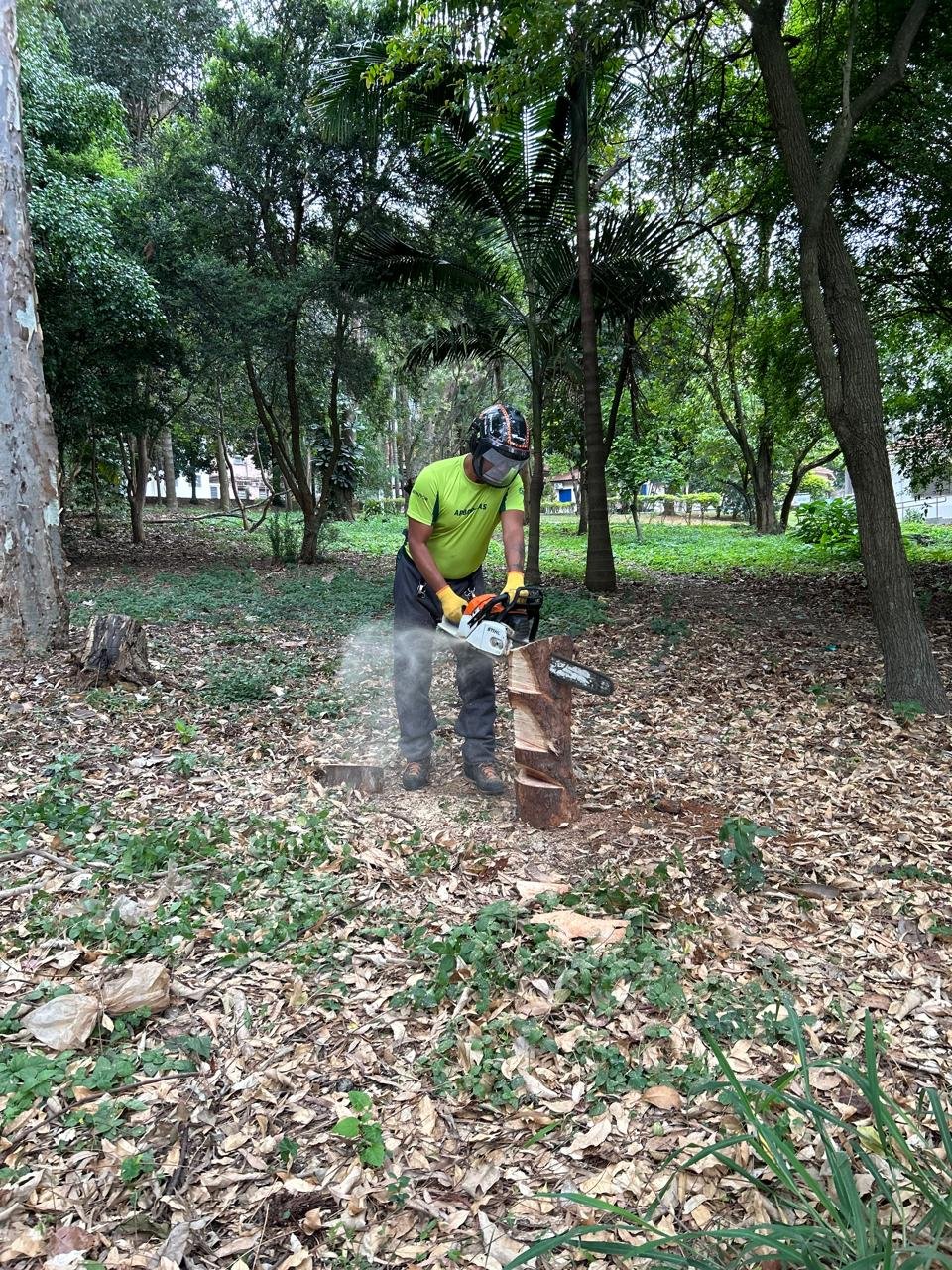 WhatsApp Image 2025-02-11 at 19.03.27