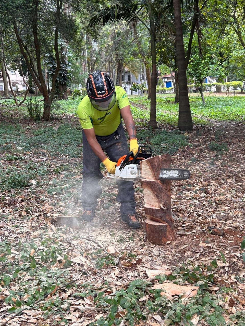 WhatsApp Image 2025-02-11 at 19.03.30