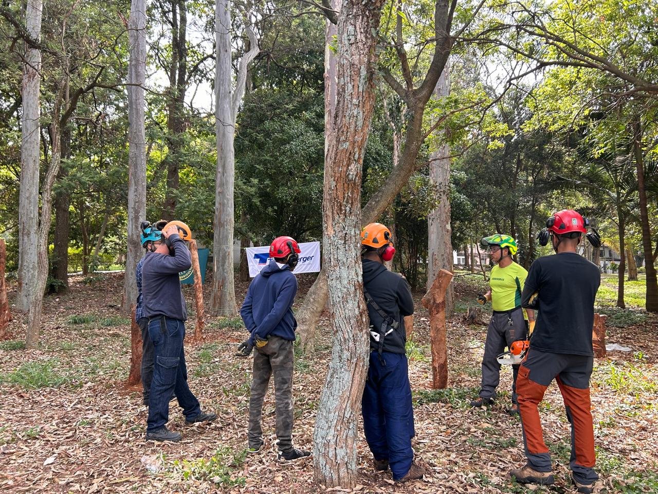 WhatsApp Image 2025-02-11 at 19.03.32