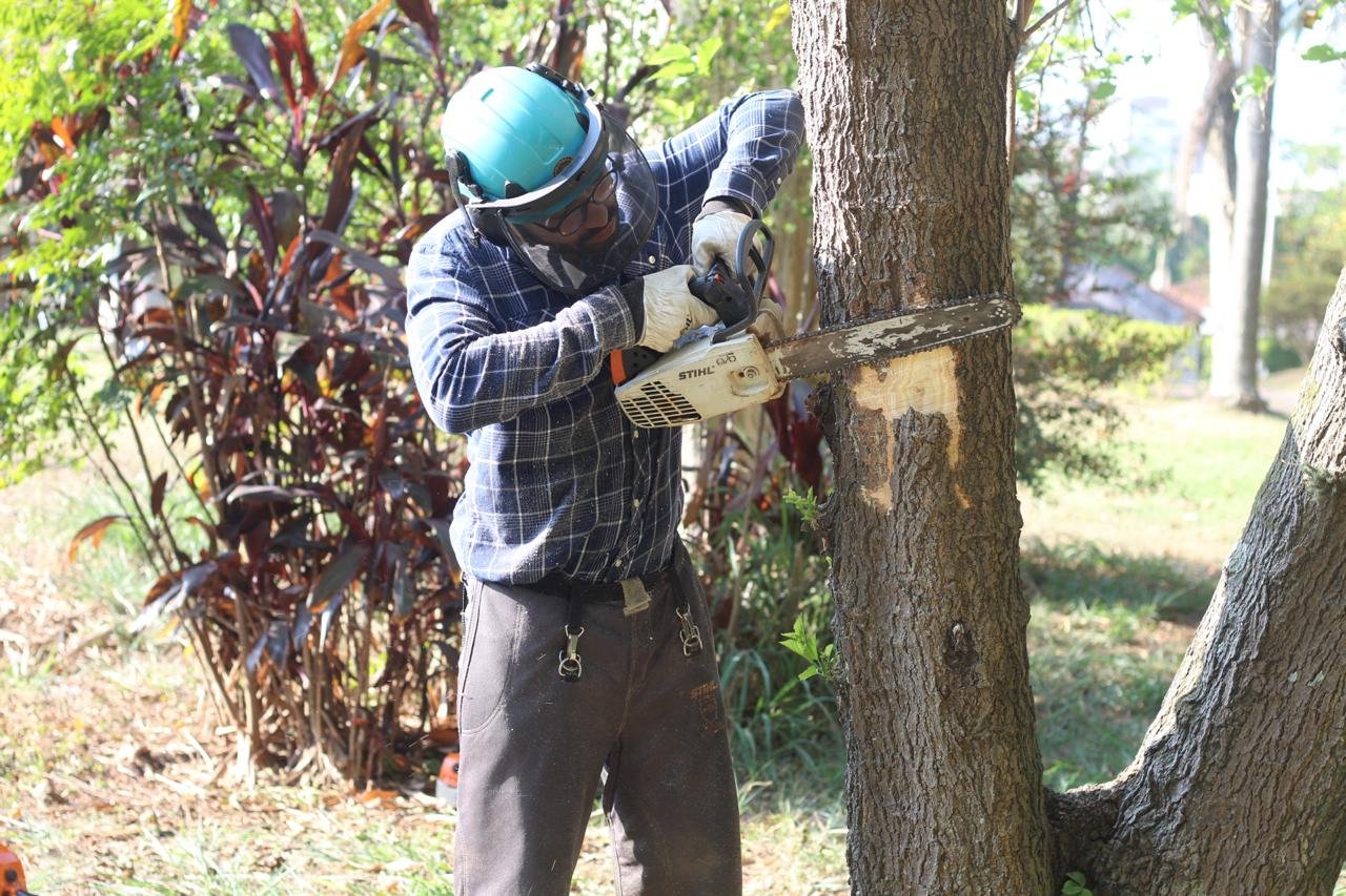 WhatsApp Image 2025-02-11 at 19.03.38