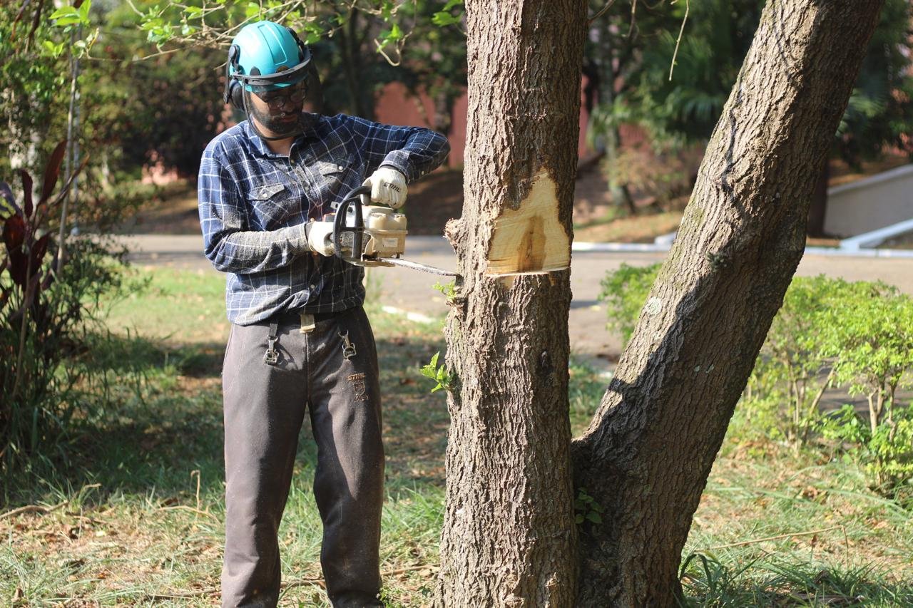 WhatsApp Image 2025-02-11 at 19.03.42