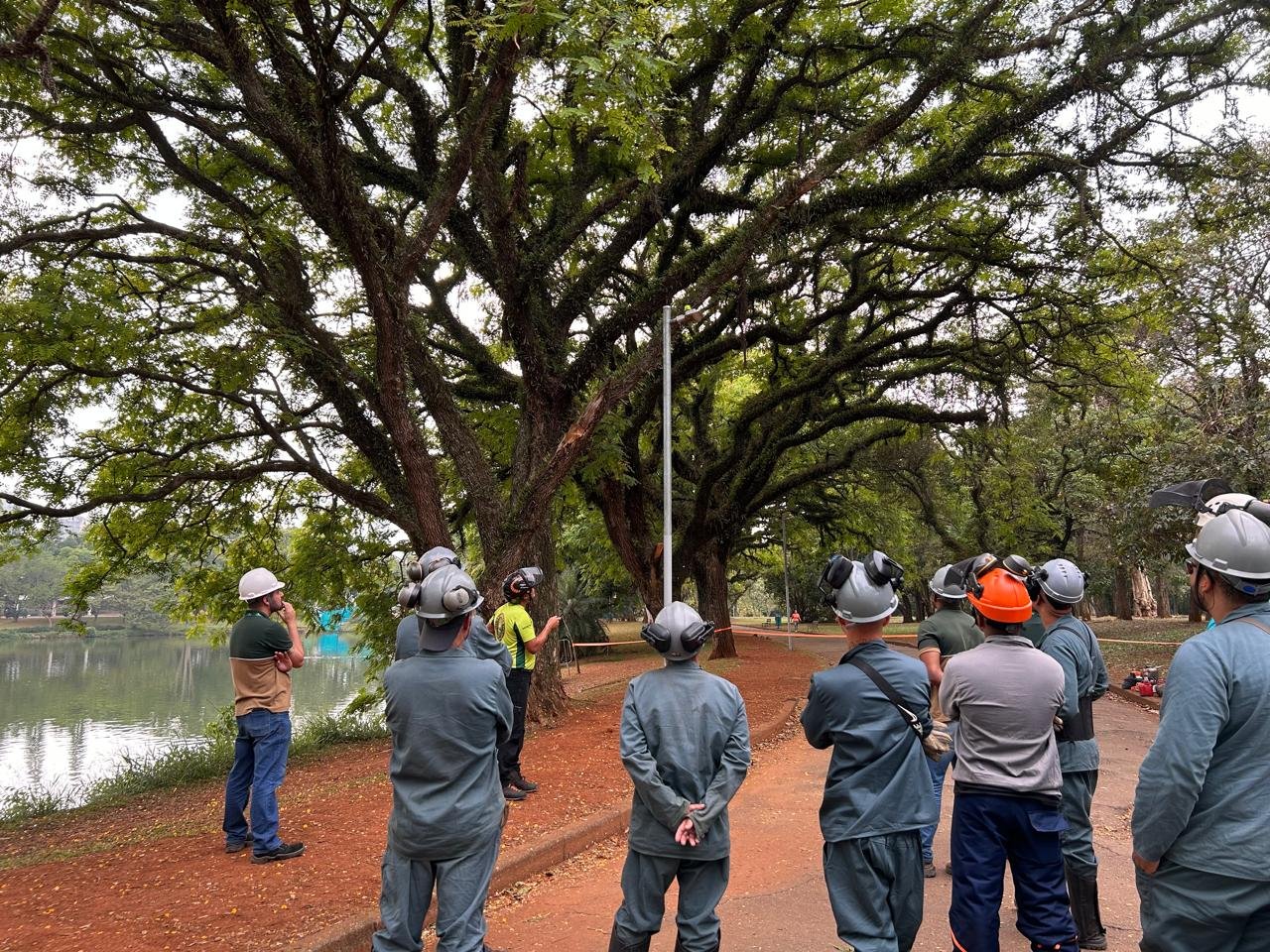 WhatsApp Image 2025-02-11 at 19.03.45