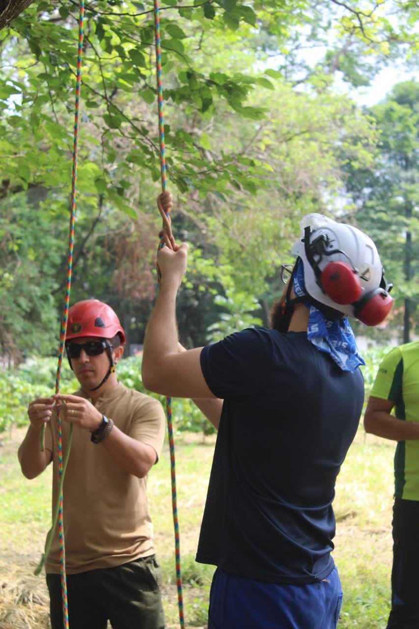 WhatsApp Image 2025-02-11 at 19.03.47