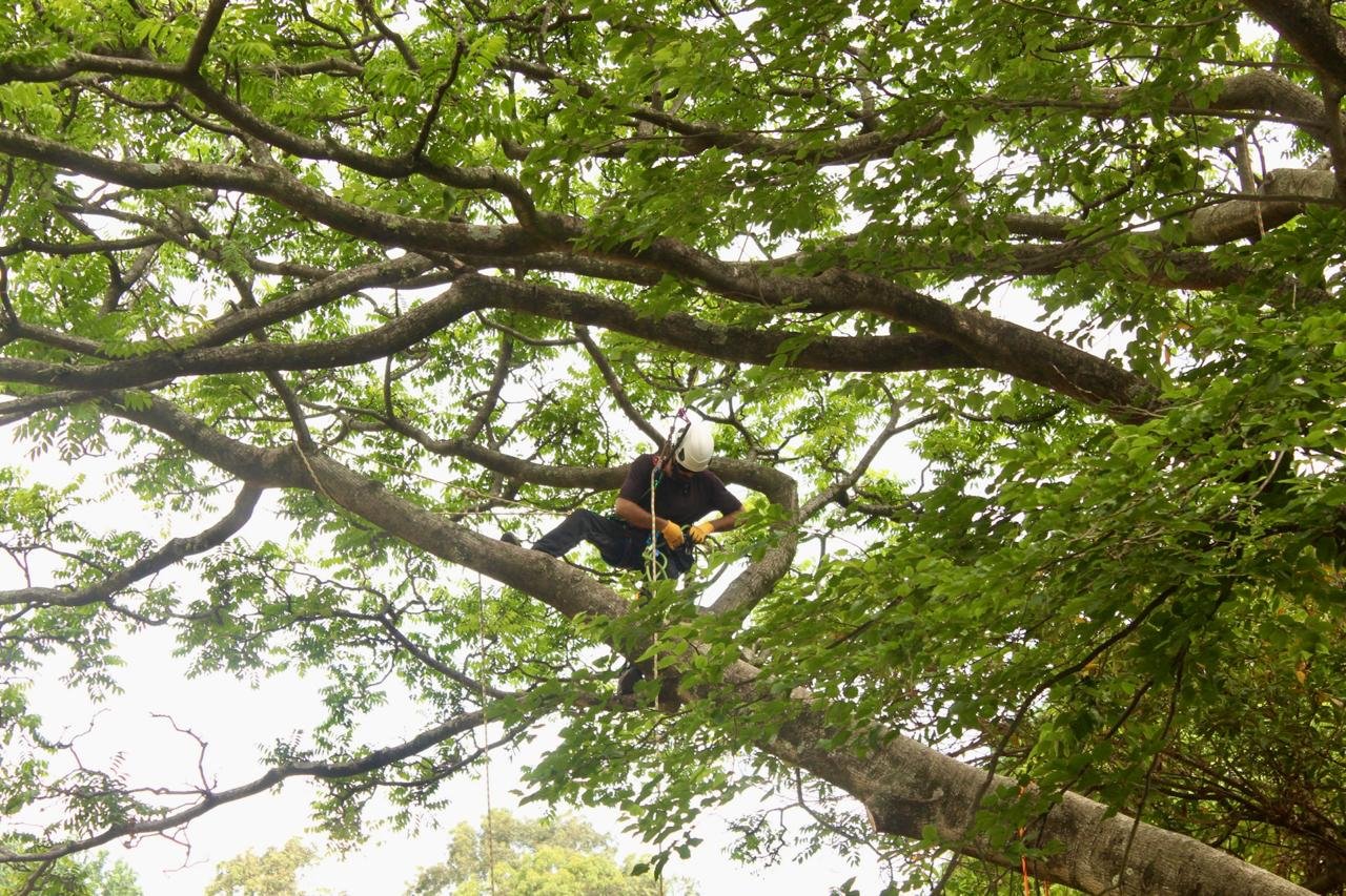 WhatsApp Image 2025-02-11 at 19.03.50