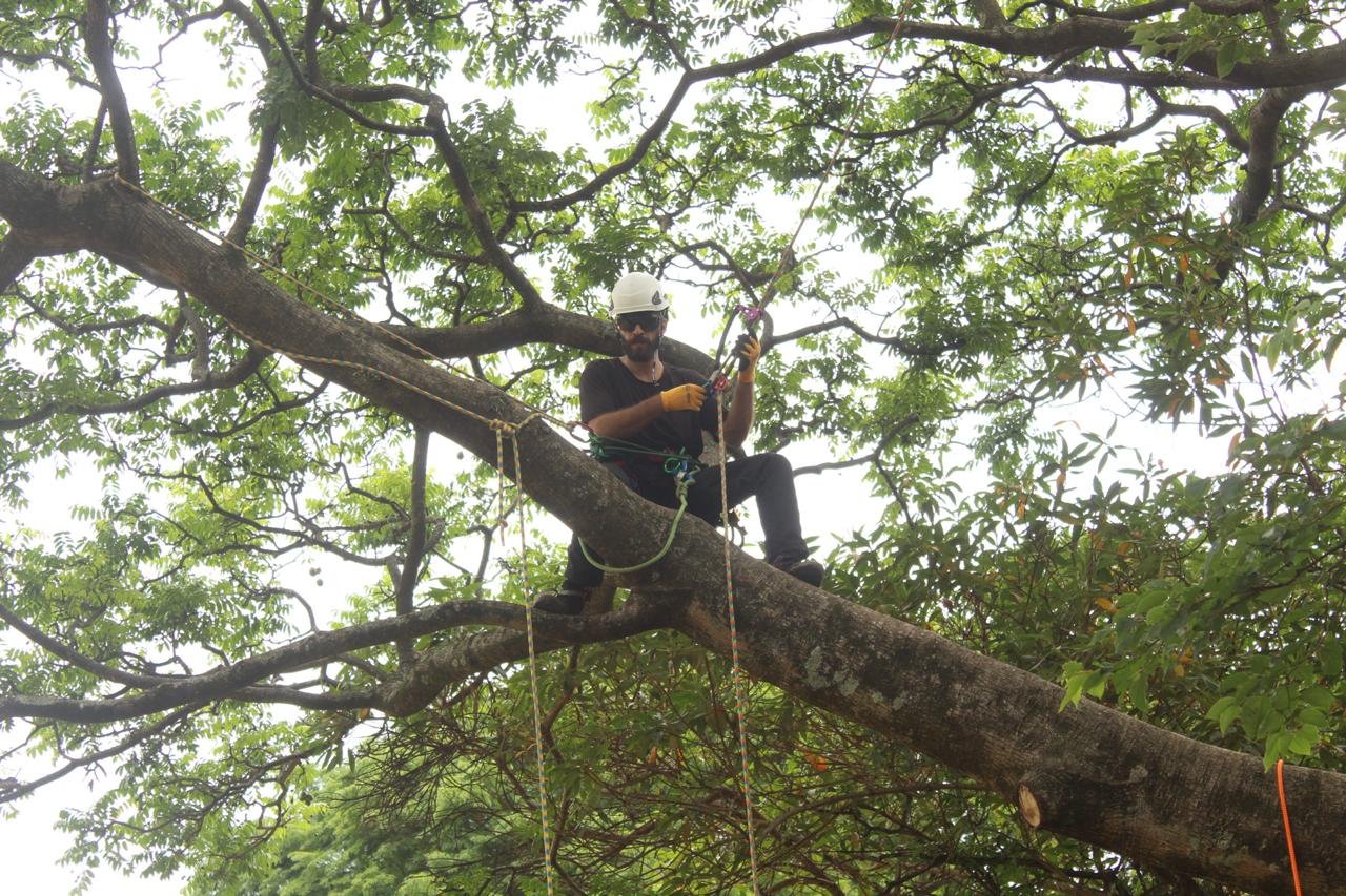 WhatsApp Image 2025-02-11 at 19.03.53