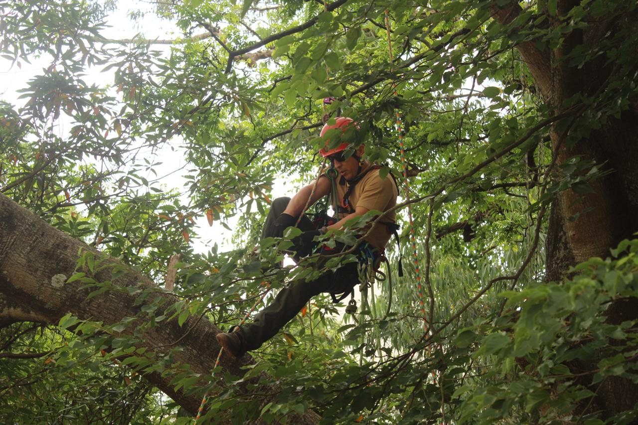 WhatsApp Image 2025-02-11 at 19.03.55