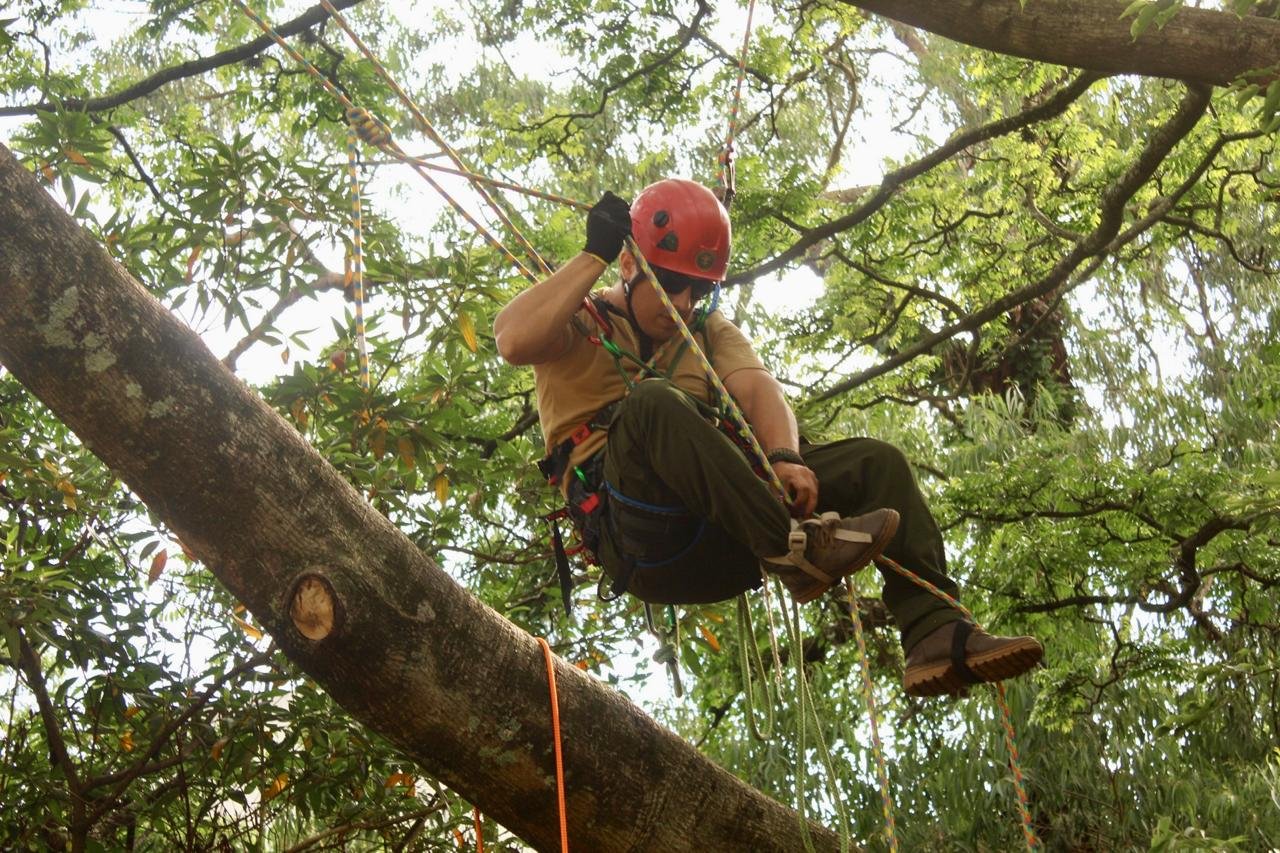 WhatsApp Image 2025-02-11 at 19.03.58