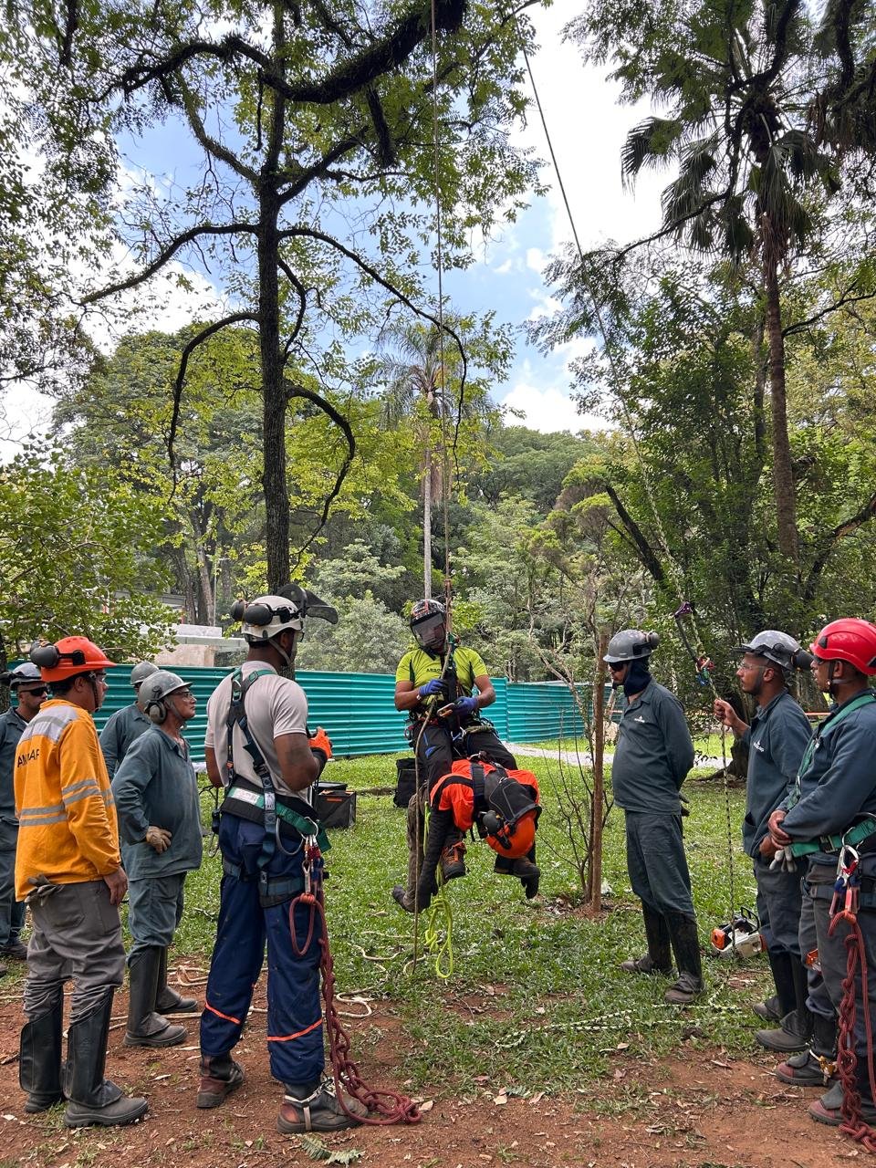 WhatsApp Image 2025-02-11 at 19.04.03